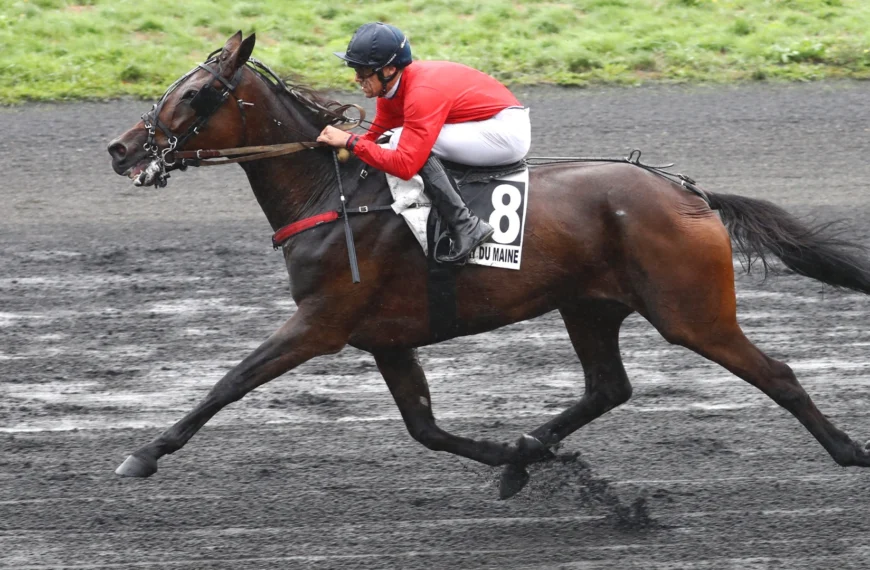 Le Cheval du Jour – 24/09/2025