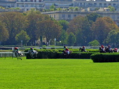 Une course sur l'hippodrome d'Auteuil - Crédits : Raymond Delatre