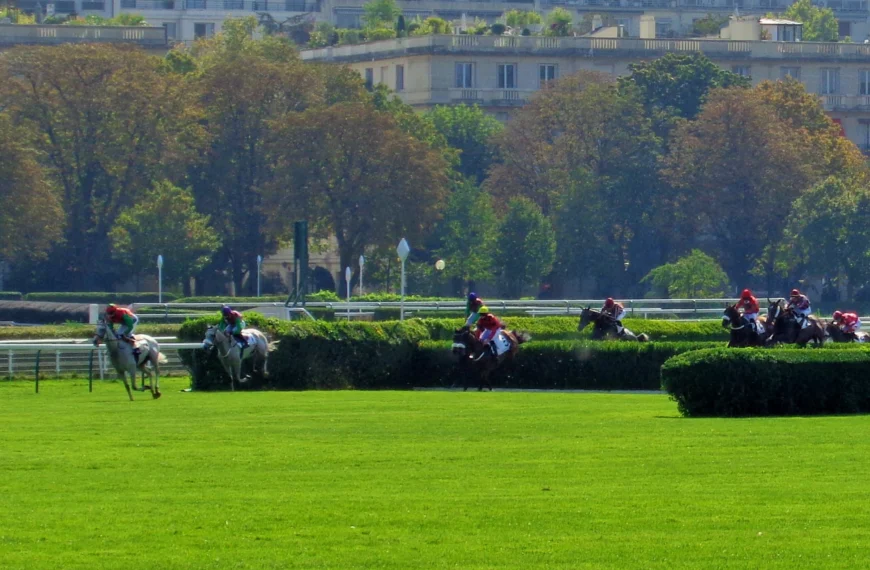 Une course sur l'hippodrome d'Auteuil - Crédits : Raymond Delatre