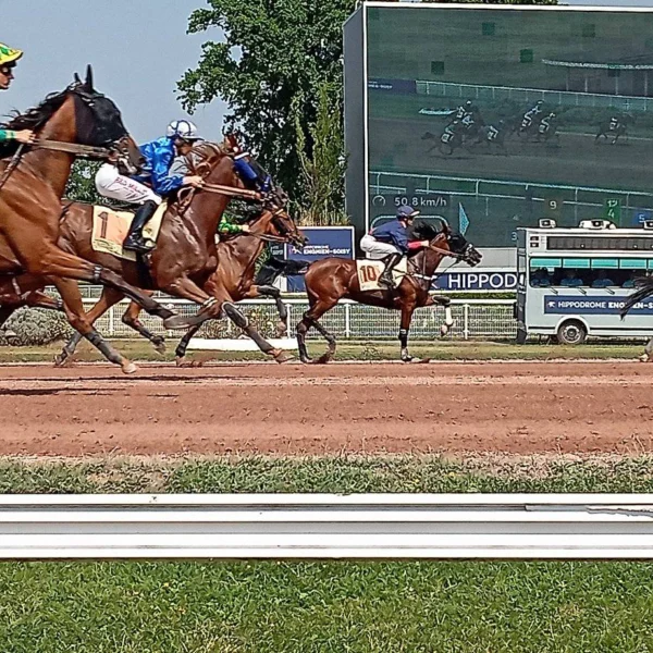 Des outsiders du côté d’Enghien