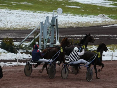 Une course sur l'hippodrome de Rouen-Mauquenchy