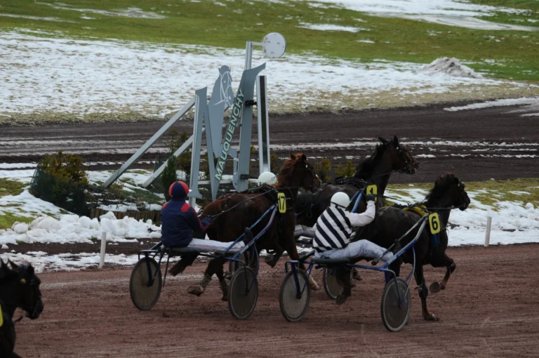 Une course sur l'hippodrome de Rouen-Mauquenchy