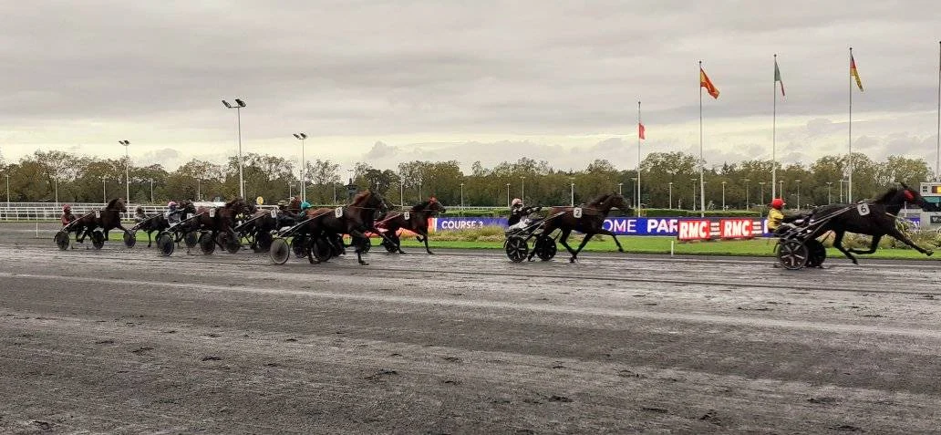 Une course sur l'hippodrome de Vincennes - Cheval du Jour - 29/11/2025