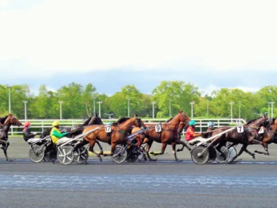 Une course sur l'hippodrome de Paris-Vincennes