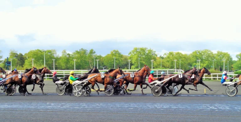 Une course sur l'hippodrome de Paris-Vincennes