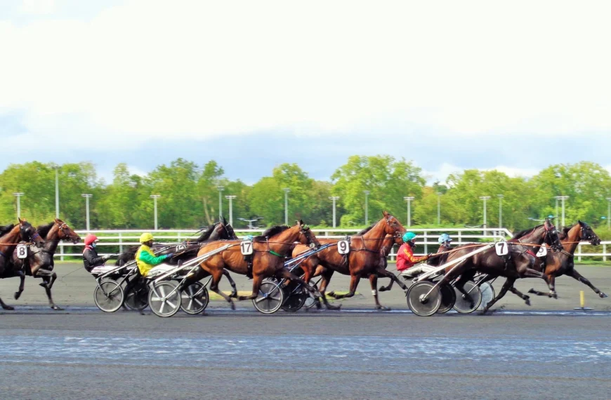 Une course sur l'hippodrome de Paris-Vincennes