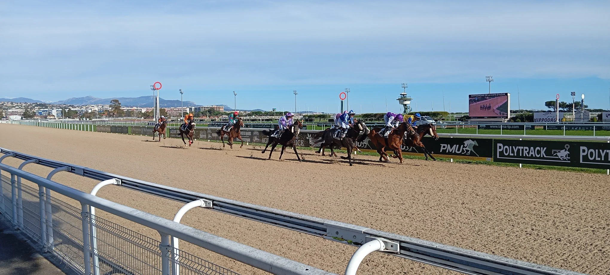 Une course sur la PSF de Cagnes-sur-Mer - Cheval du Jour - 18/02/2026