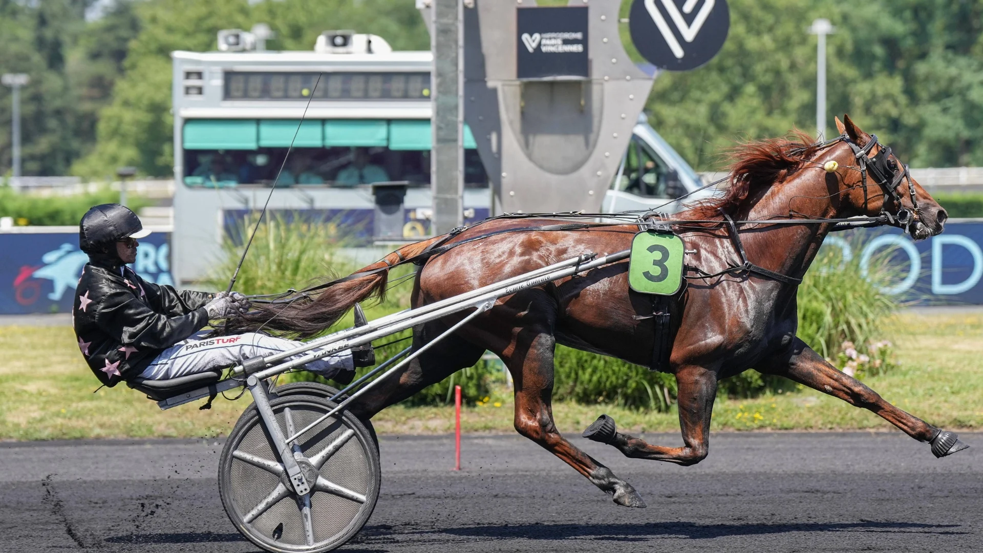 Louis Vitton Mijo - Cheval du Jour - 31/07/2026