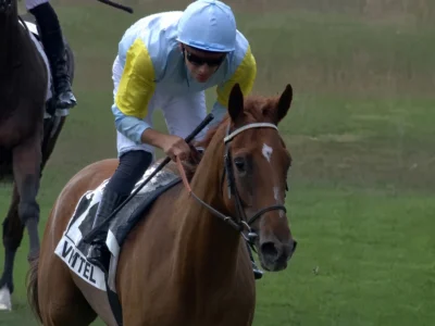 Martin Protti sur ASIMA