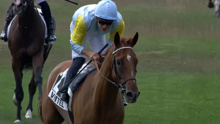 Martin Protti sur ASIMA