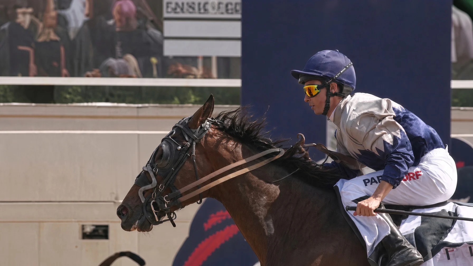 Gard - Cheval du Jour - 14/09/2026