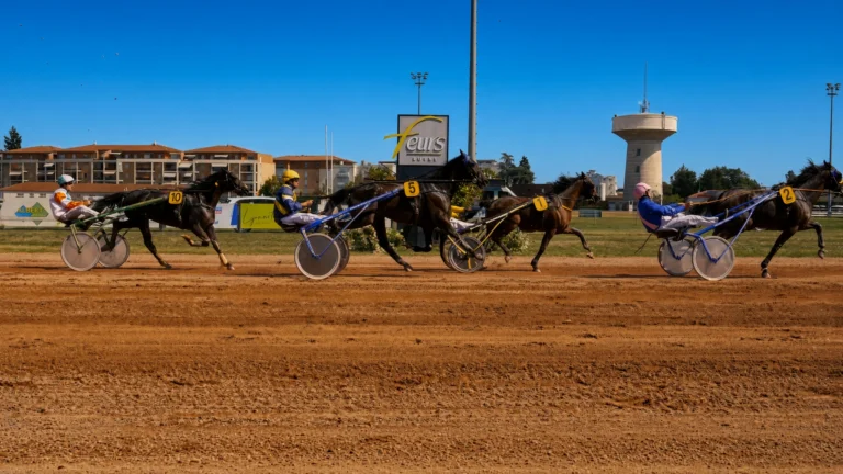 L'hippodrome de Feurs