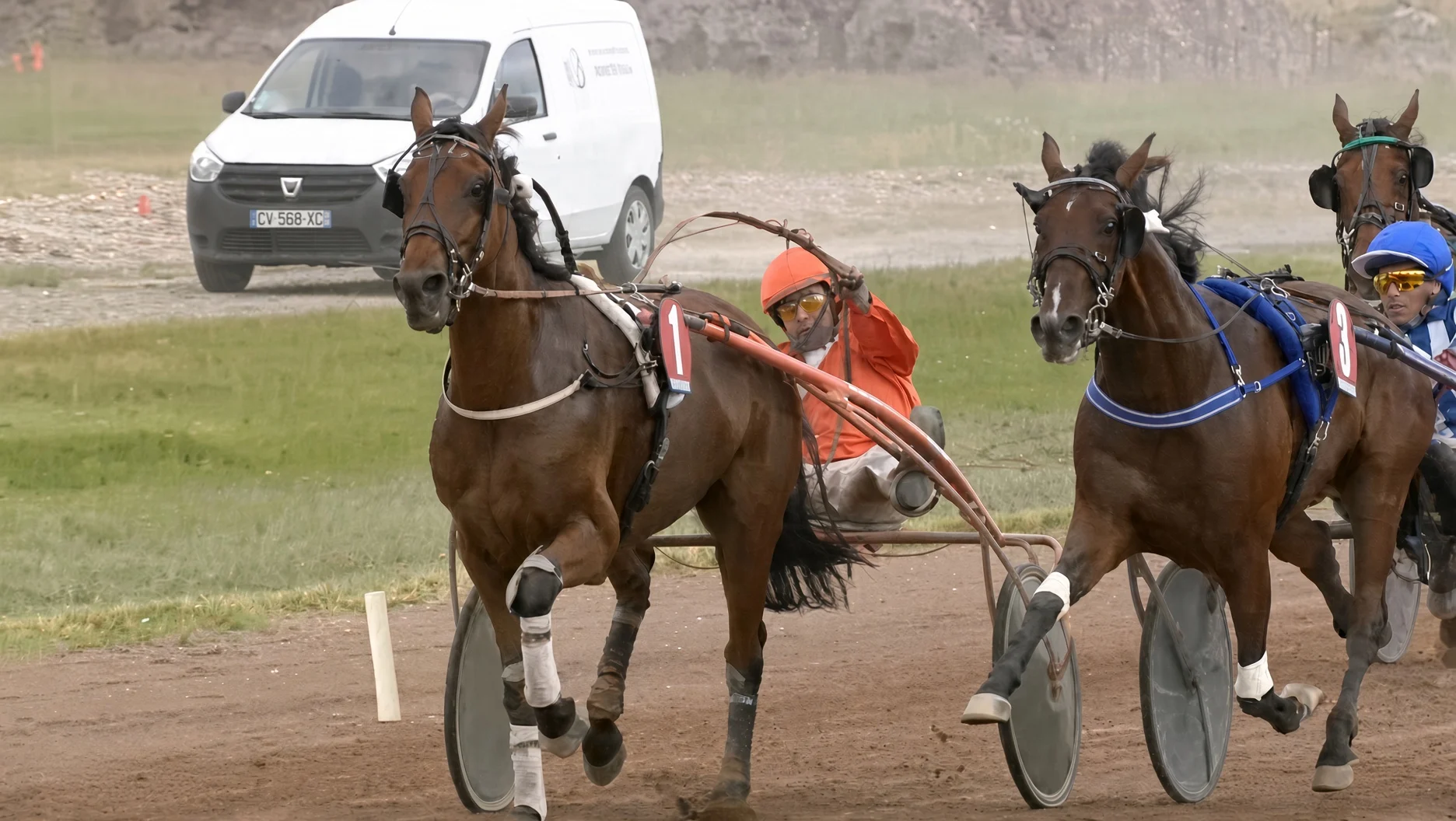 Ister Man - Cheval du Jour - 16/09/2026