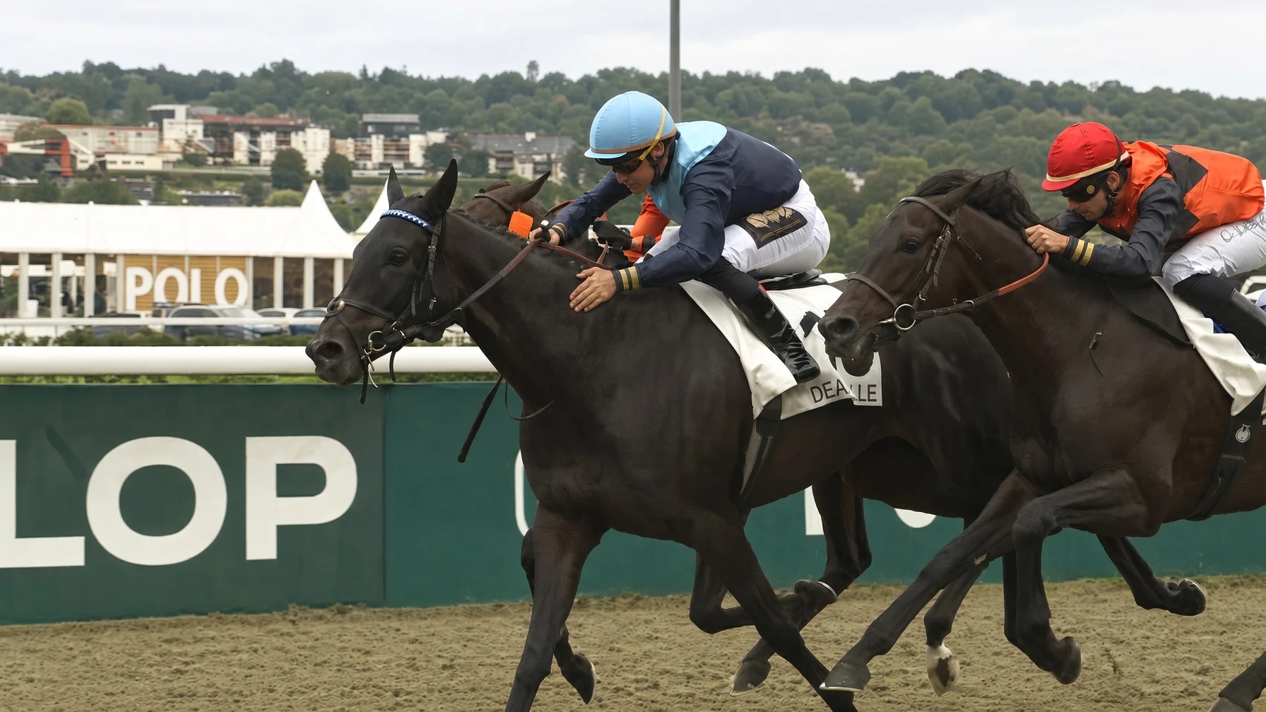 La Doloise - Cheval du Jour - 29/09/2026