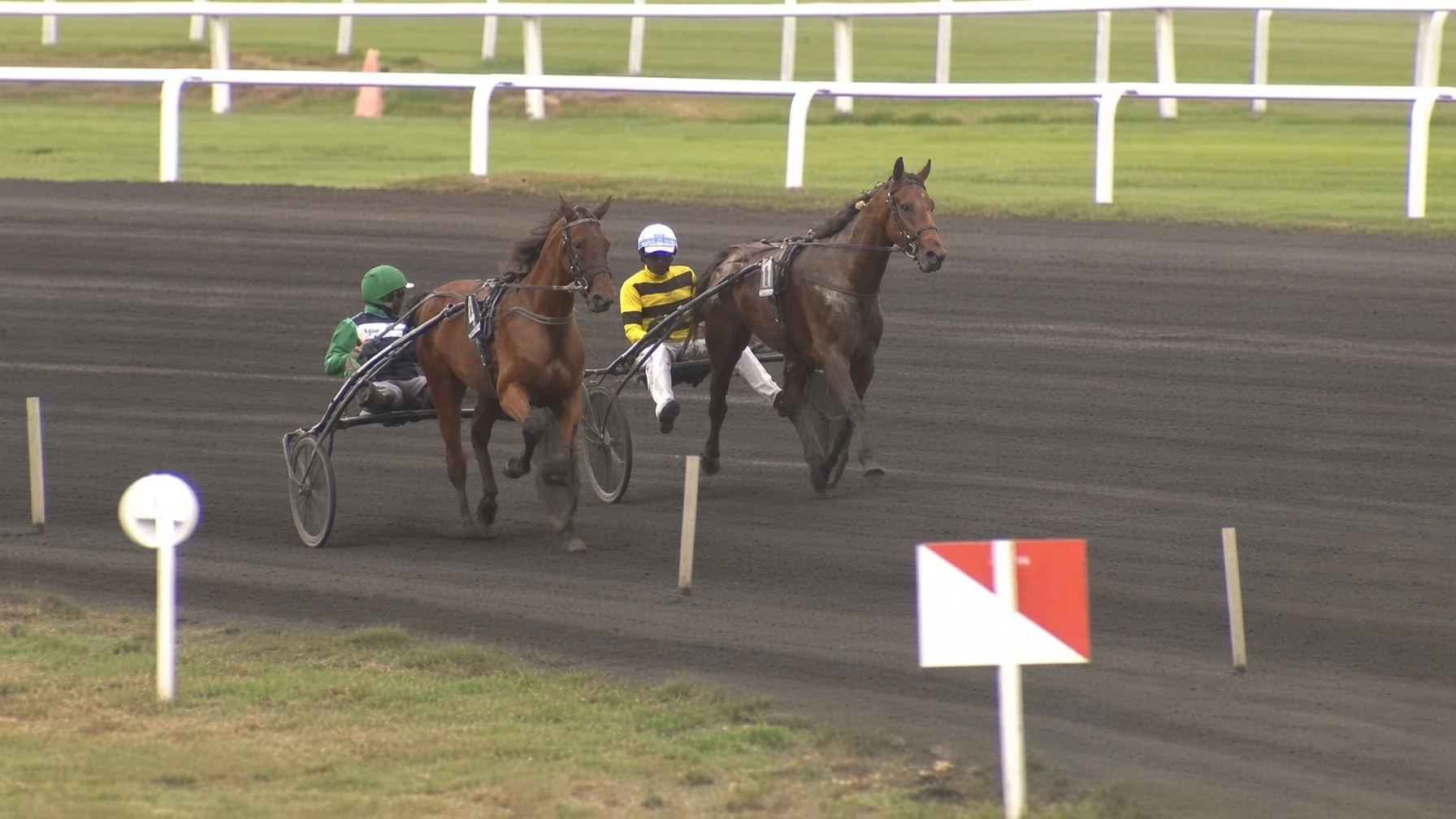 Large Level - Cheval du Jour - 09/09/2026
