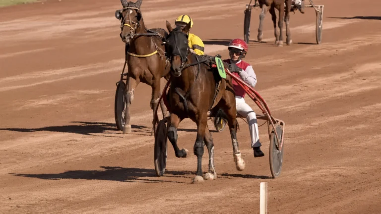 Meydan Voirons
