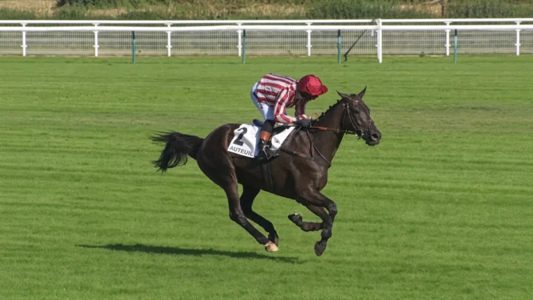 Goliath du Rheu